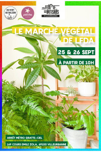 Marché végétal